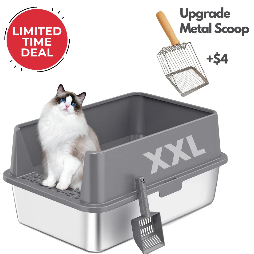 XXL Stainless Steel Cat Litter Box with Lid