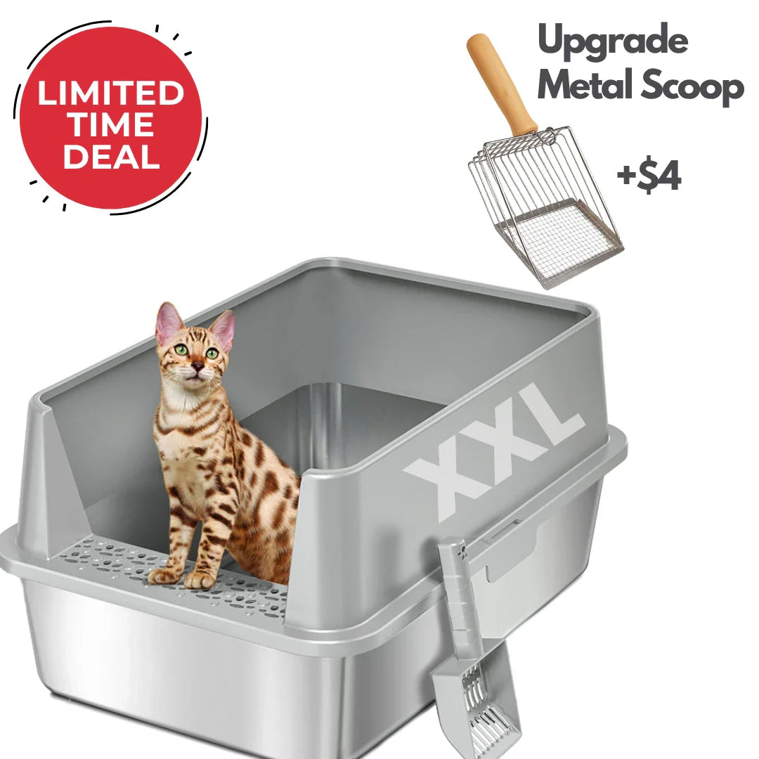 XXL Stainless Steel Cat Litter Box with Lid
